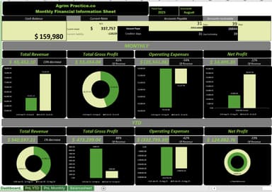 Financial Performance KPI Dashboard (Excel Dashboard Redesign)