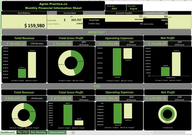 Financial Performance KPI Dashboard (Excel Dashboard Redesign)